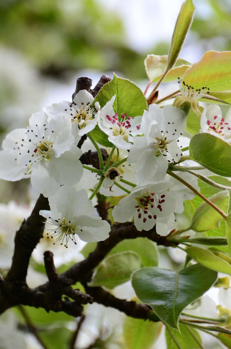 2014-04-05 12-30-10.JPG